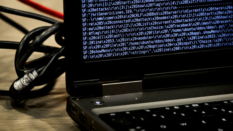 Politie rolt grootste aanbieder DDos-aanvallen op
