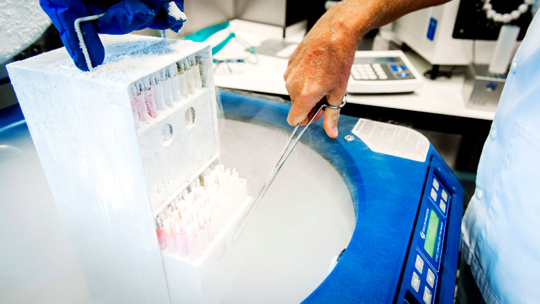 Donorkinderen mogen dna-test doen van rechter