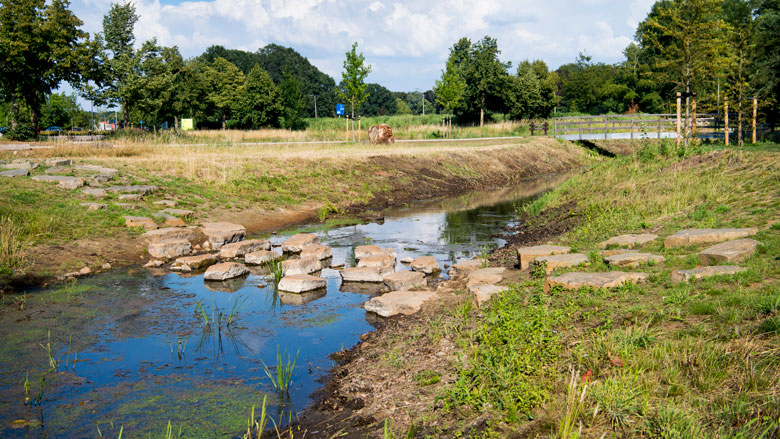 Ondanks regen nog steeds watertekort