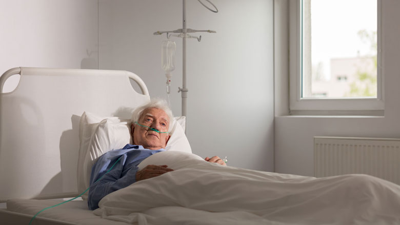 Toename aantal euthanasiemeldingen