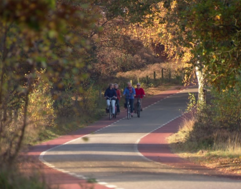 Veel accuproblemen bij e-bikes