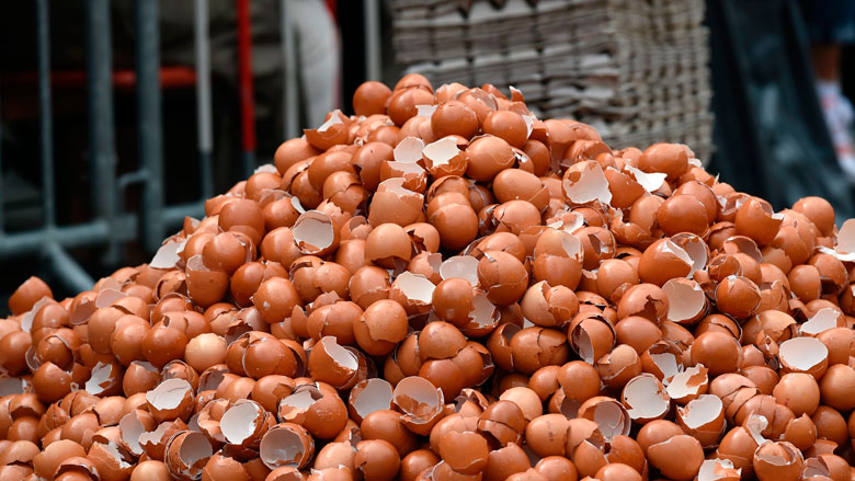 Fipronilbesmetting nu in 45 landen