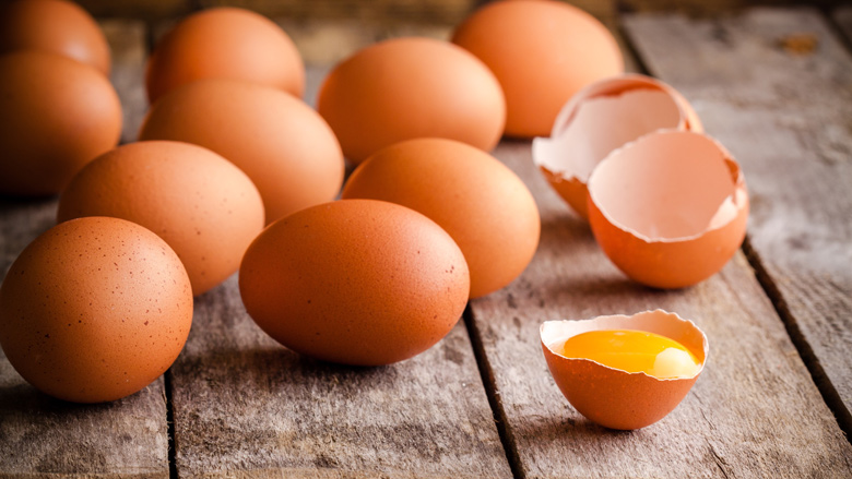 Overheid schoot tekort bij eierschandaal