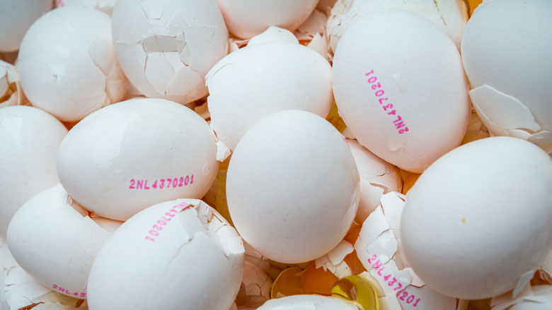 Kamer wil opheldering over eierschandaal