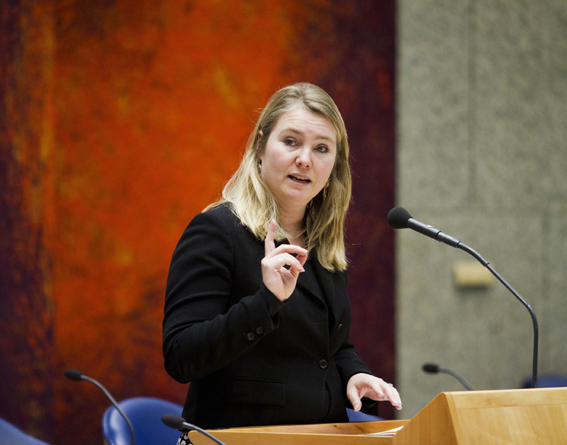 Mensen met steunhart mogen autorijden