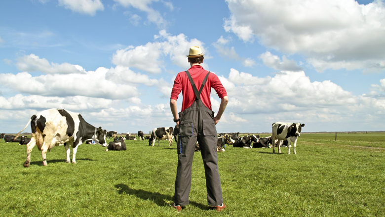 Dumpprijs melk wordt boeren teveel