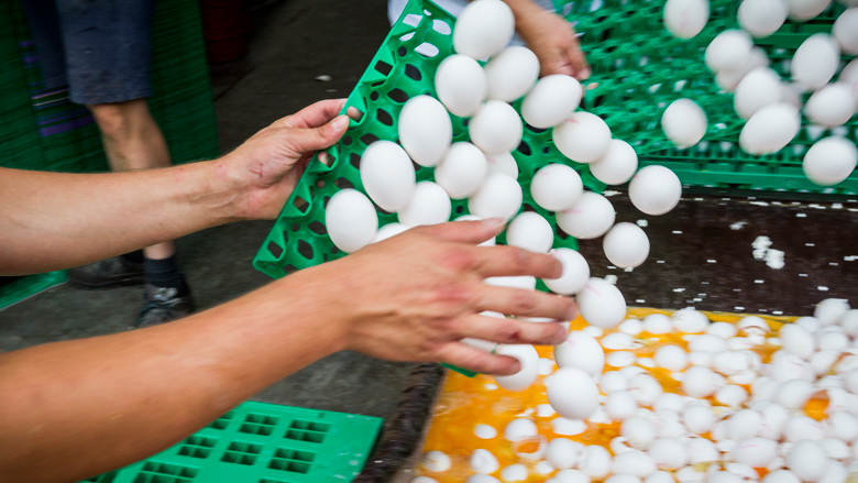 NVWA: '138 bedrijven met fipronil, geen besmette eieren meer in supermarkt'
