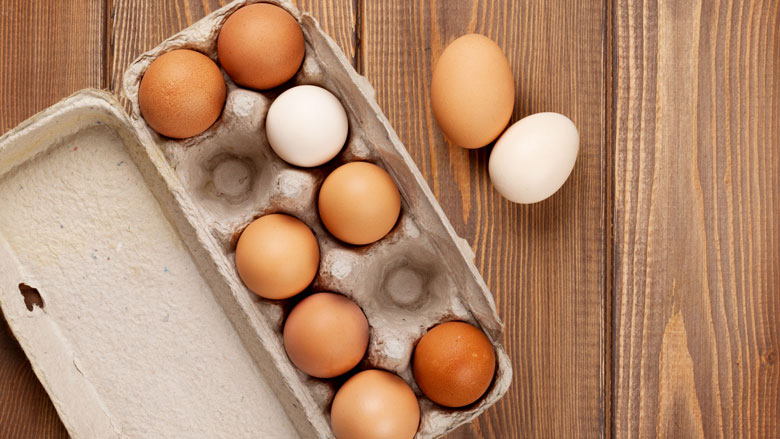 Onderzoek naar besmette eieren-schandaal