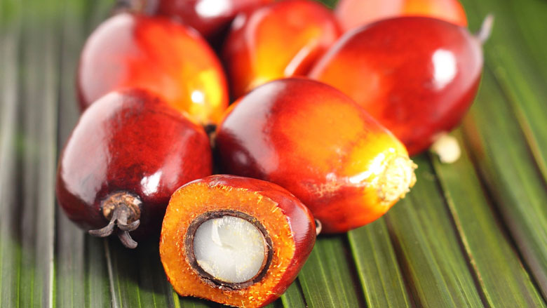 Weer meer palmolie ingevoerd
