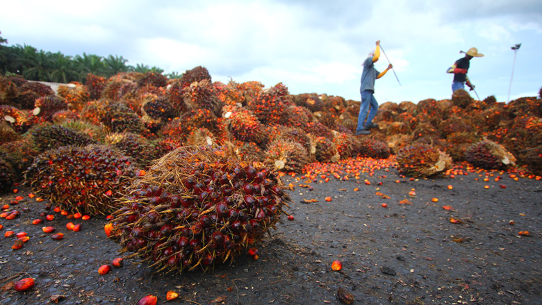 ABN AMRO, ING en Rabobank betrokken bij misstanden in de palmoliesector
