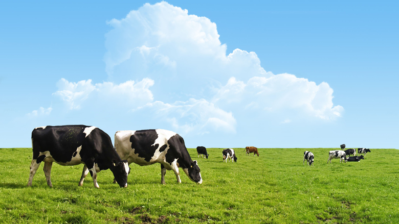 Oorzaak longaandoeningen platteland onduidelijk