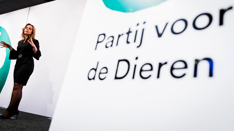 PvdD probeert onverdoofd slachten wederom te verbieden