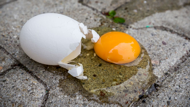 Pluimveehouders willen snel afspraken over 'schone eieren'