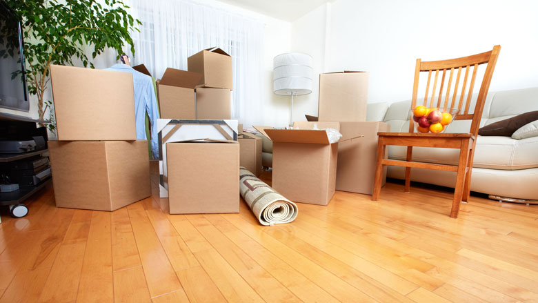 Malafide bureaus helpen woningzoekenden aan sociale huurwoningen