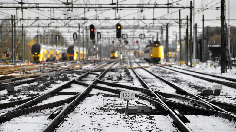 Aantal vertragingen door dieren op het spoor neemt af