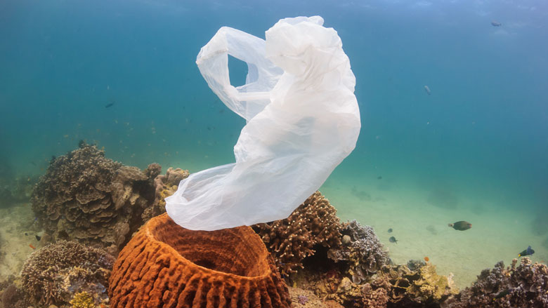 Grote hoeveelheden plastic in Noordelijke IJszee
