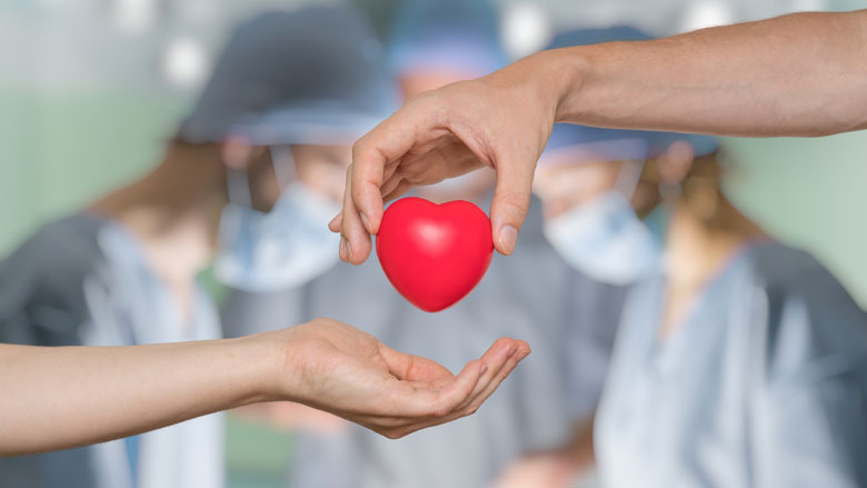 Half miljoen Nederlanders vult keuze in na nieuwe donorwet