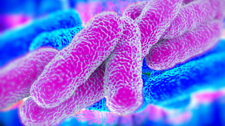 Recordaantal Nederlanders besmet met legionella