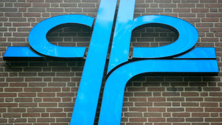 'Meer medische adviseurs voor kortere wachttijden rijbewijs'