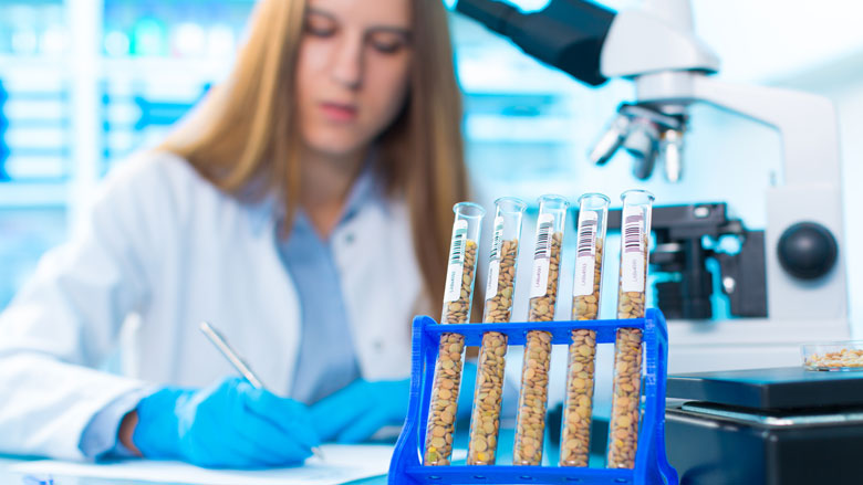 Minister wil experiment met genetische modificatie van gewassen