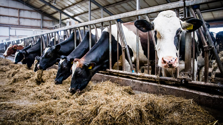 Fosfaatproductie voldoet aan EU-regels