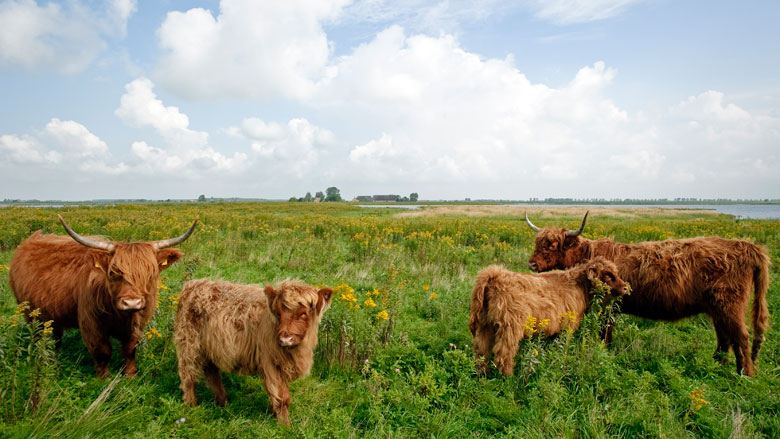 EU steunt Nederlandse milieuprojecten met miljoenen