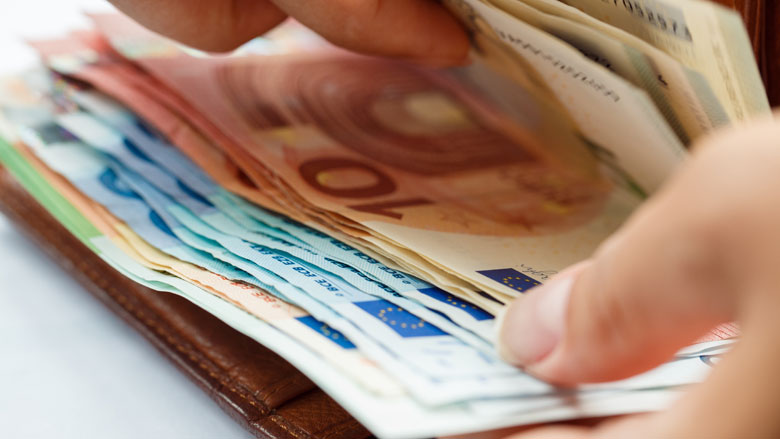 Nederlanders rijker door invoering euro