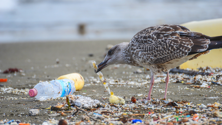 EU-landen zijn het eens over verbod op wegwerpplastic