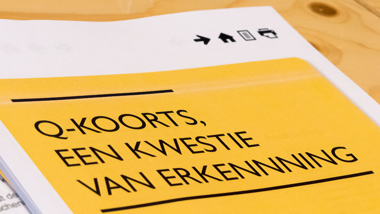 Chronische Q-koorts voor kwart van patiënten fataal