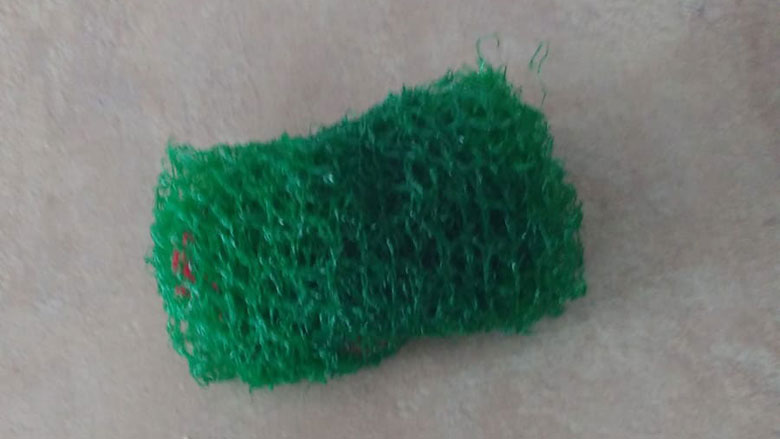 schuursponsje-fruitnetje-09052019.jpg