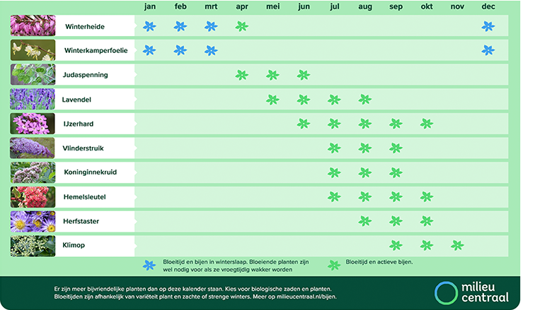 000 kalender bijenbloemen milieucentraal.png