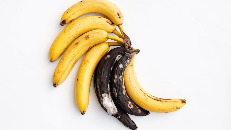 De banaan sterft uit: hoe nu verder?