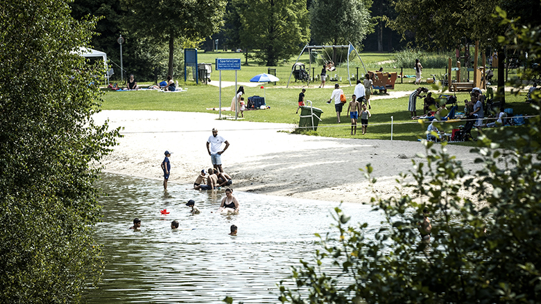 Ziekmakend blauwalg in steeds meer natuurwater door warme weer