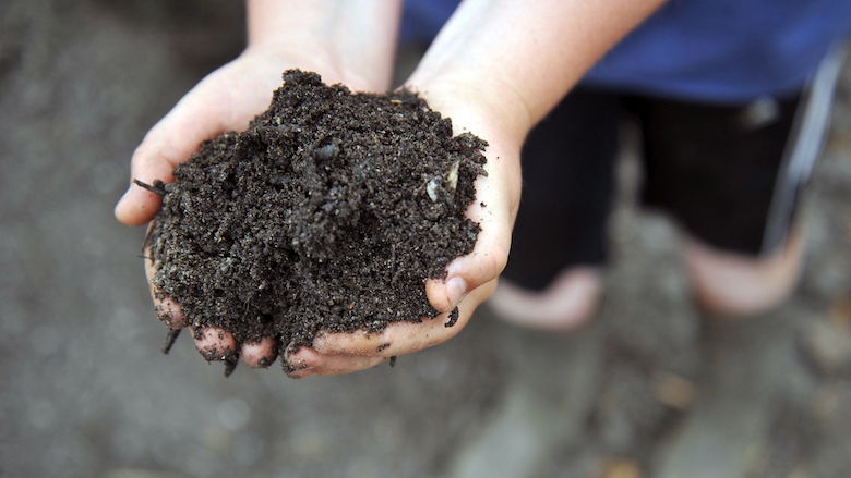 EenVandaag: GFT-compost vervuild met zware metalen, PFAS en pesticiden