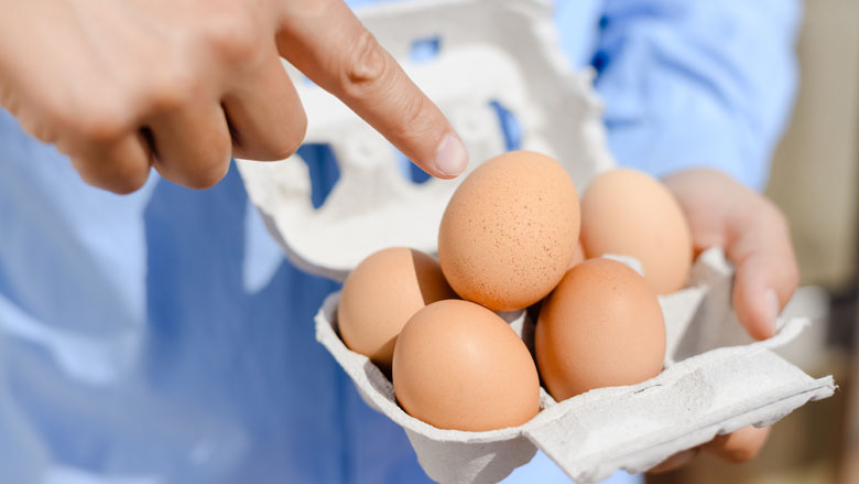 Informatie over dierenwelzijn verdubbelt keuze voor biologische eieren