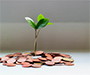Hogere rente