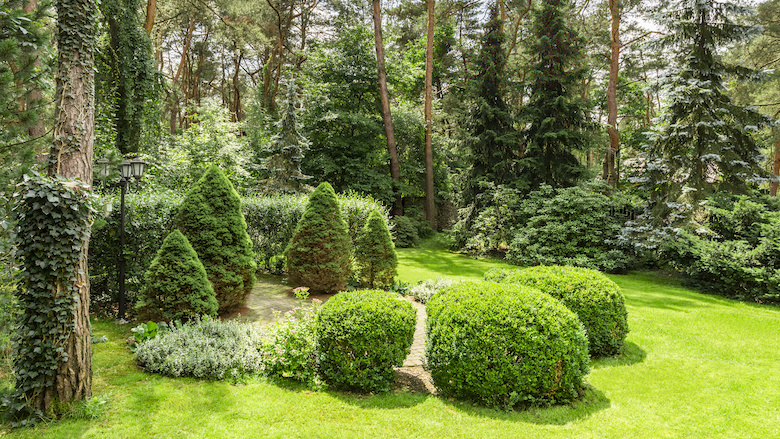 Zo maak je je tuin lenteklaar