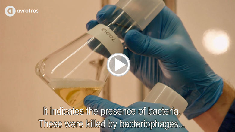 Bacteriophages: the cure for antibiotics resistance (uitzending bacteriofagen met Engelse ondertiteling)